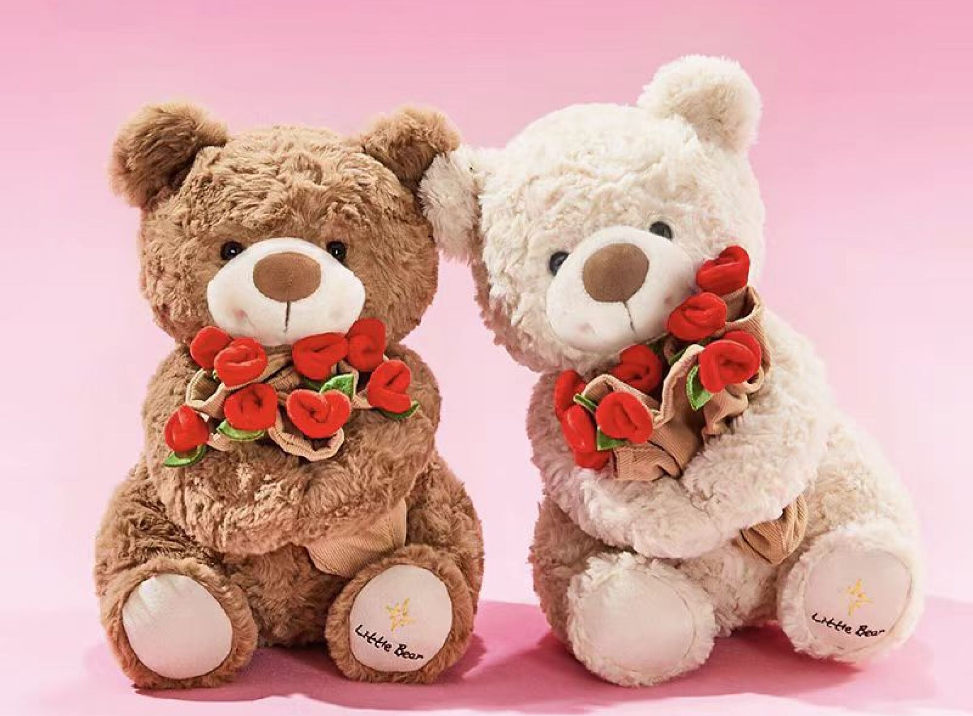 XR0721 Oso Rosa con bolsita 55cm